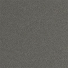 Symphony Classic Gunite
